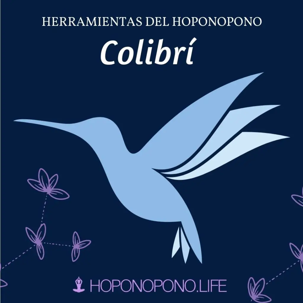 Colibri hoponopono