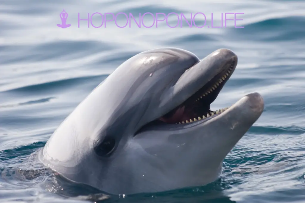 La Meditación del Delfín Hoponopono